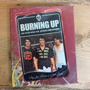 Disney Hyperion Jonas Brothers Burning Up book